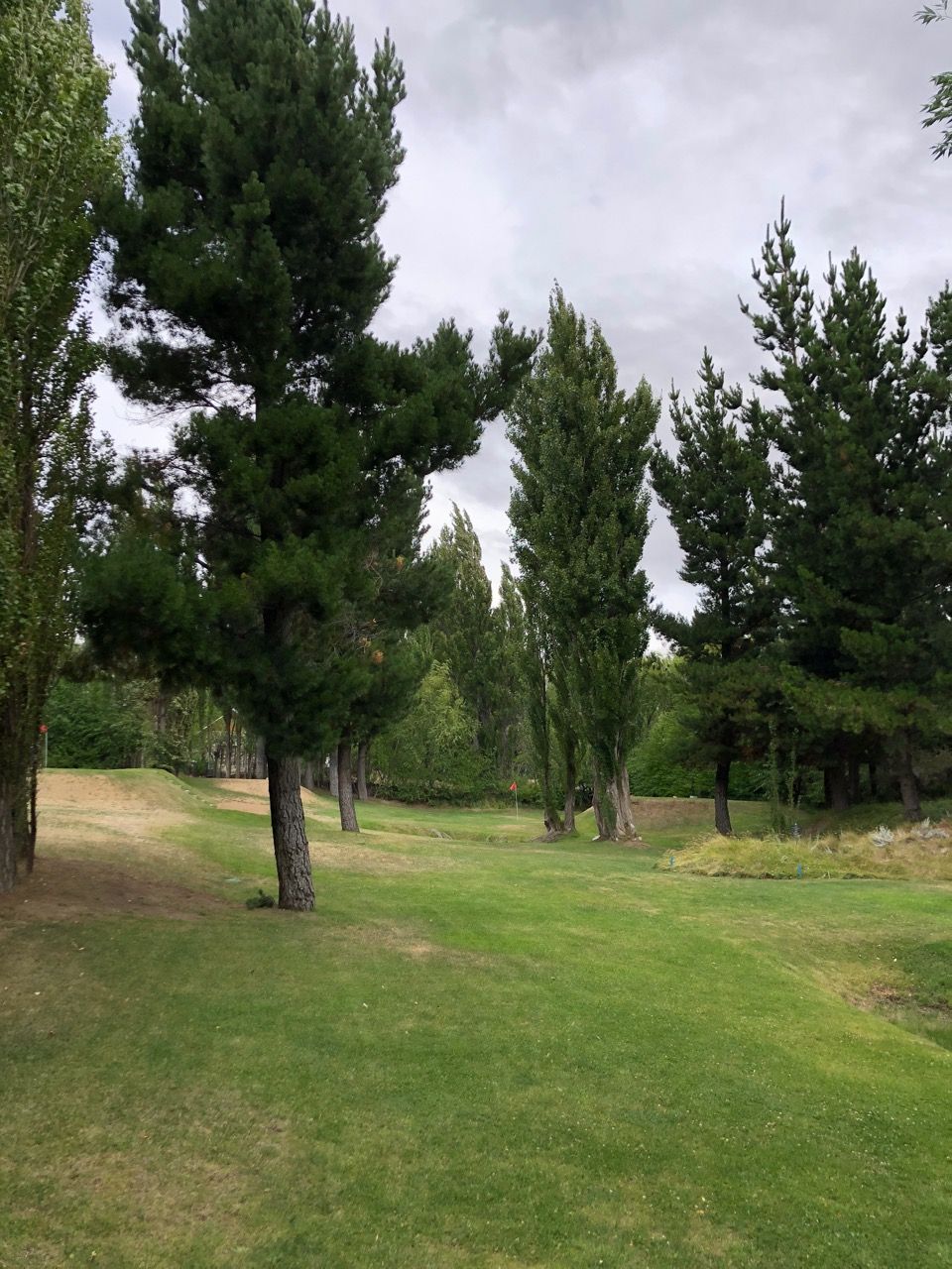El Pinar GC- tee shots must carry and go around mature trees..