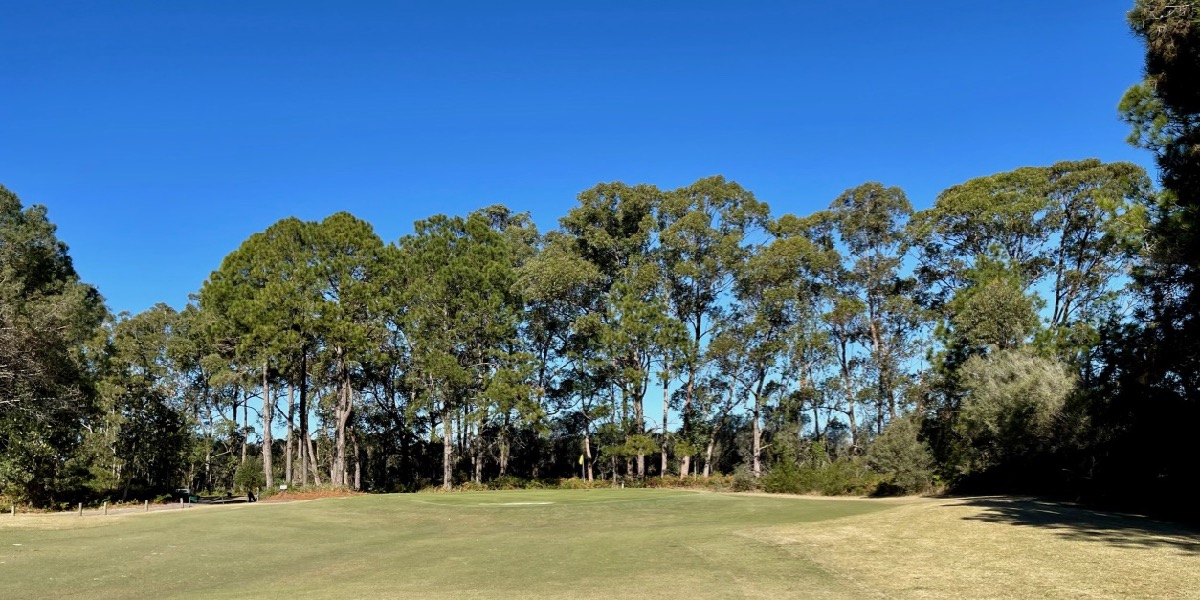 Forster Tuncurry GC- Tuncurry Course, hole 3 green