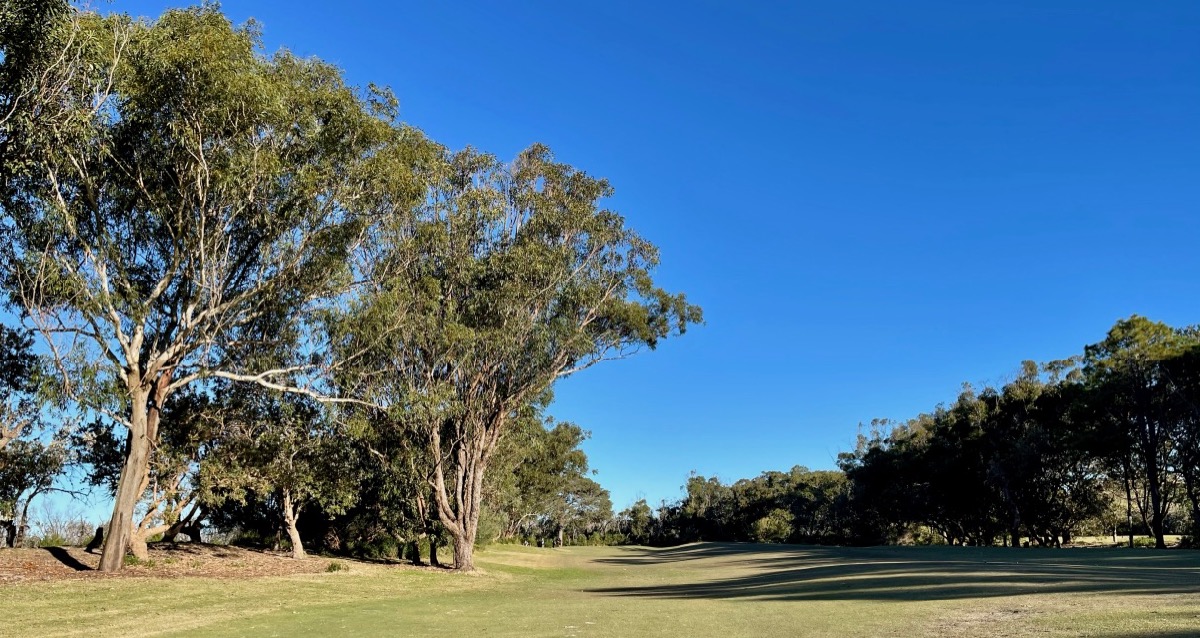 Forster Tuncurry GC- Tuncurry Course, hole 13