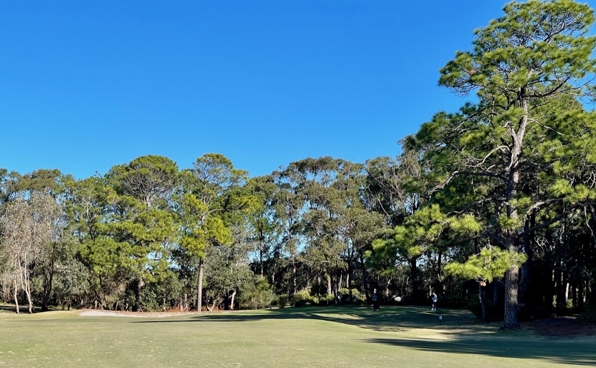 Forster Tuncurry GC- Tuncurry Course, hole 8 approach