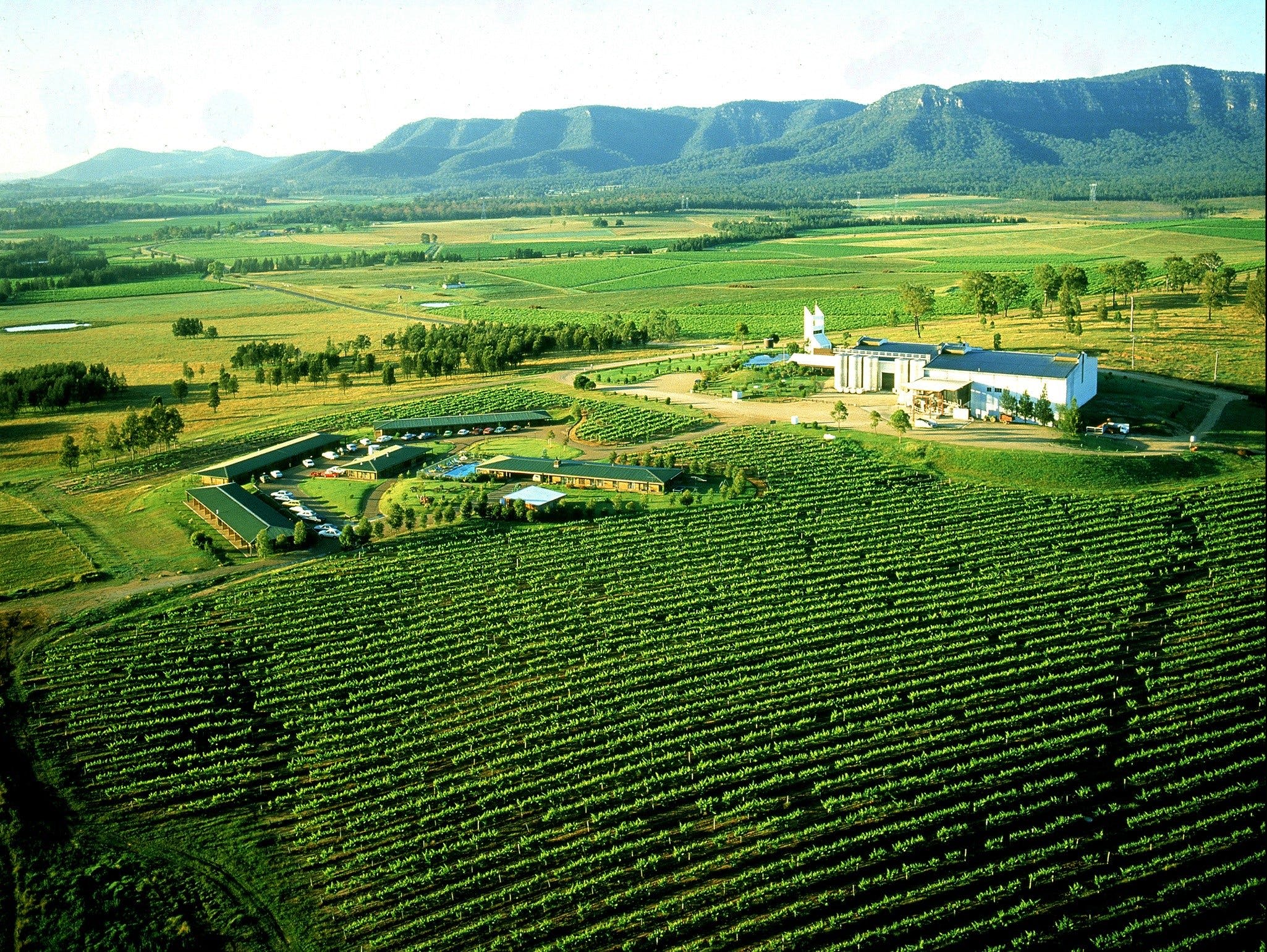 Hunter Valley wineries