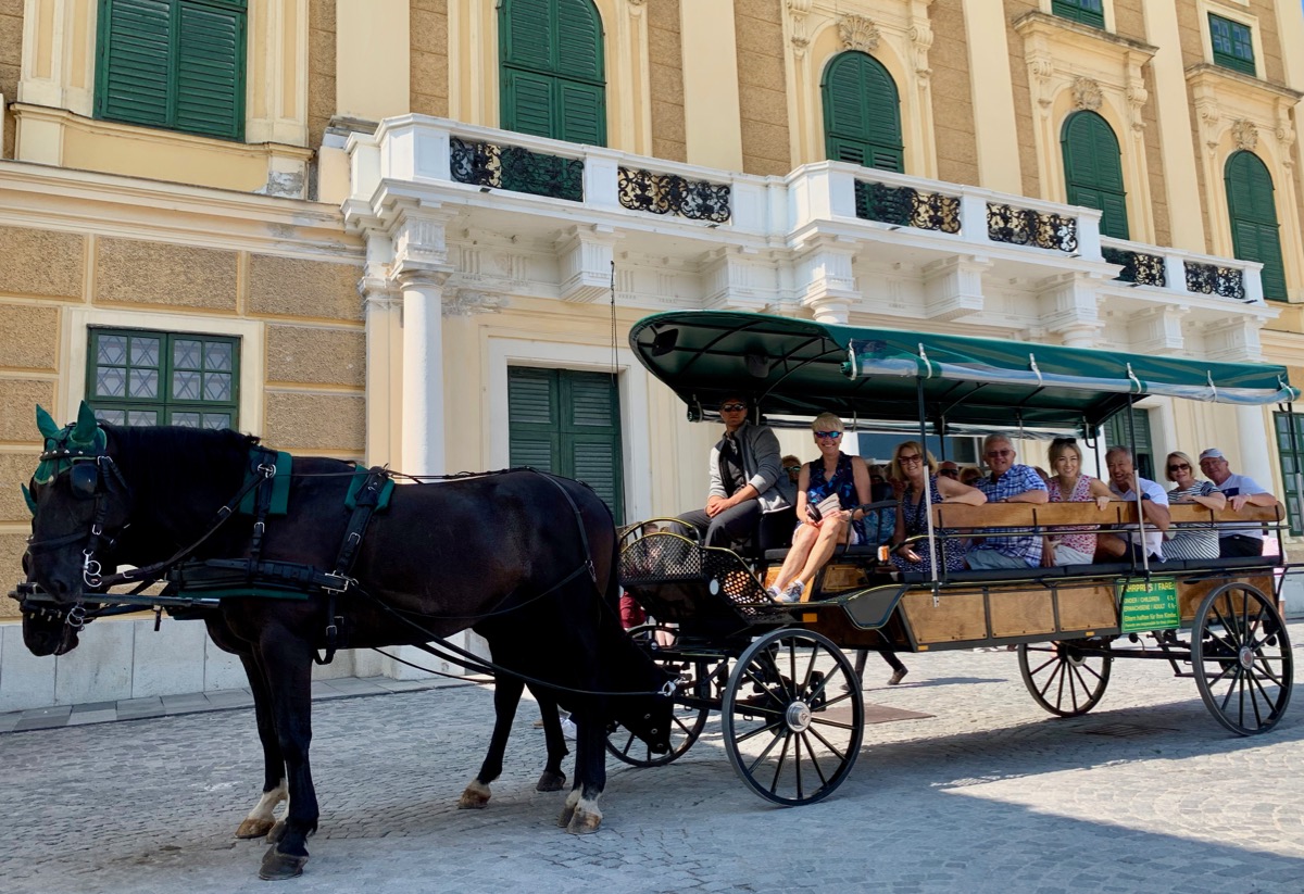 Horse Carriage ride at Schonbrunn Palace
