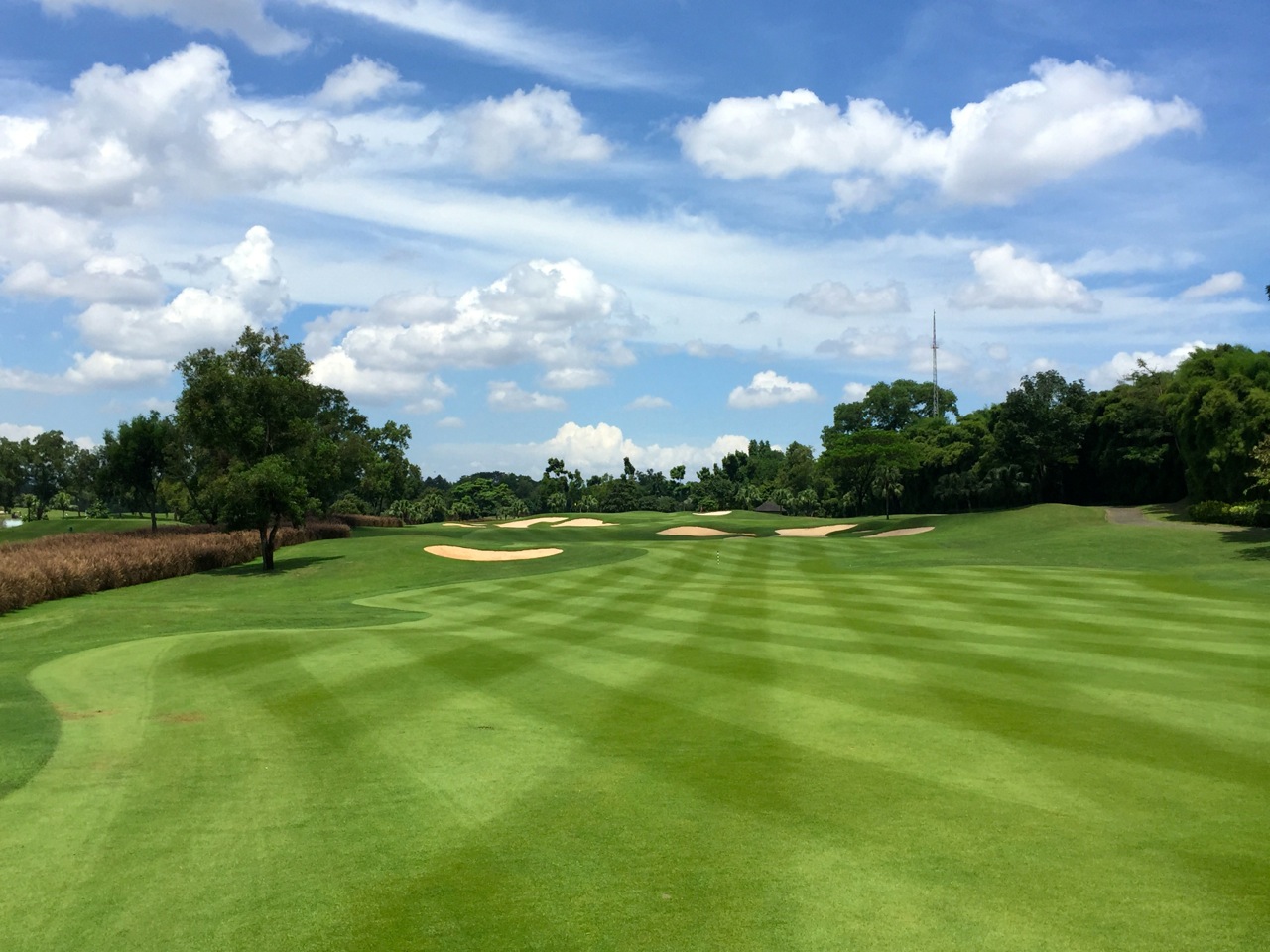 Royal Jakarta GC is beautifully maintained!