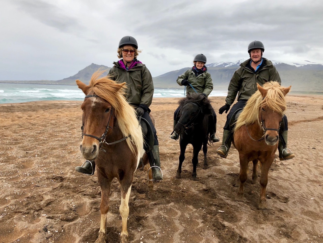 Riding the Icelandic horses