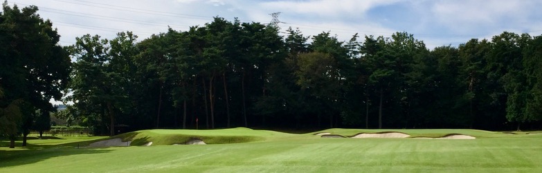 Tokyo GC sometimes two greens can clutter the look and playability of a hole