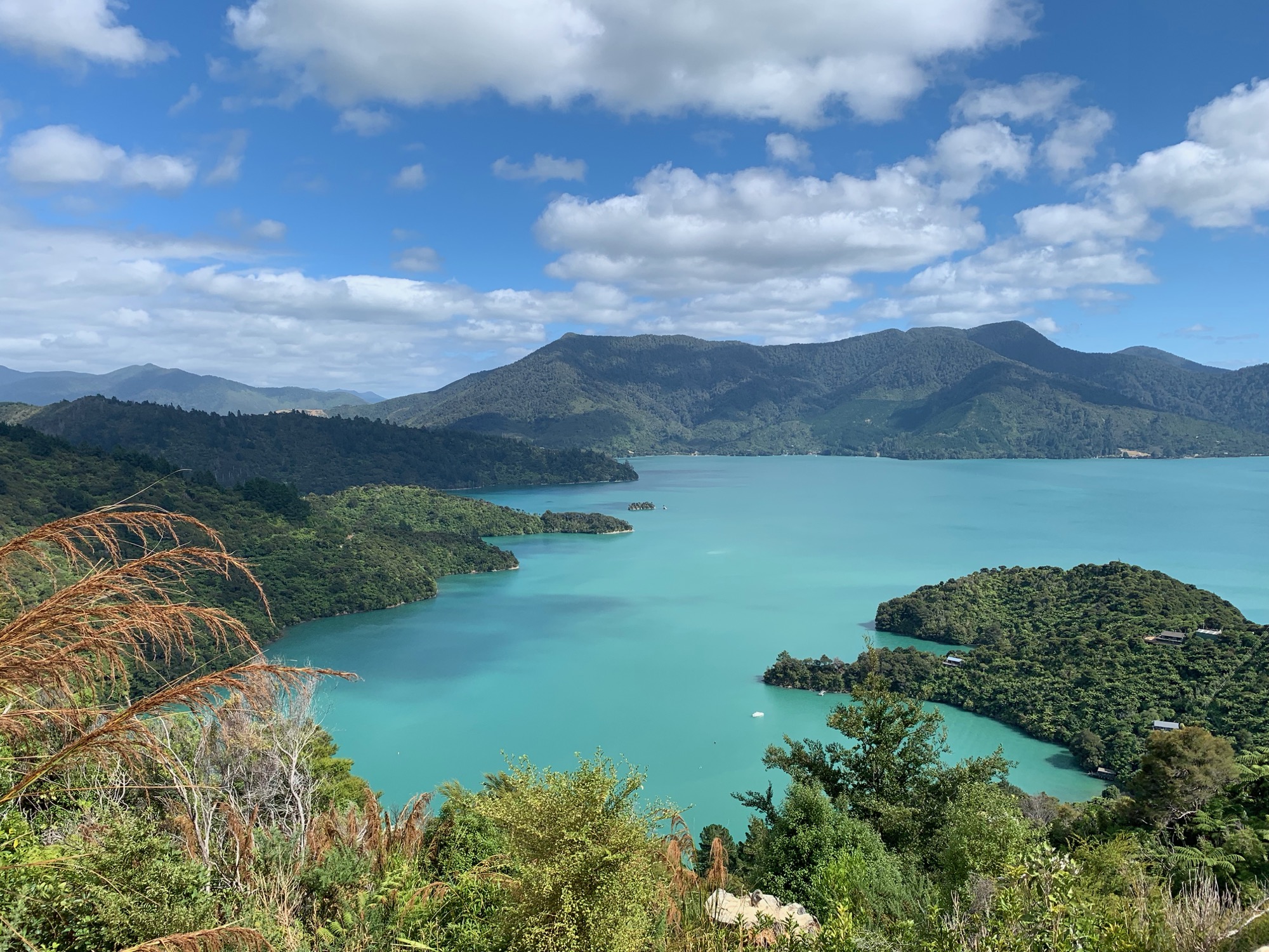 Views of the Sound on The Queen Charlotte Track