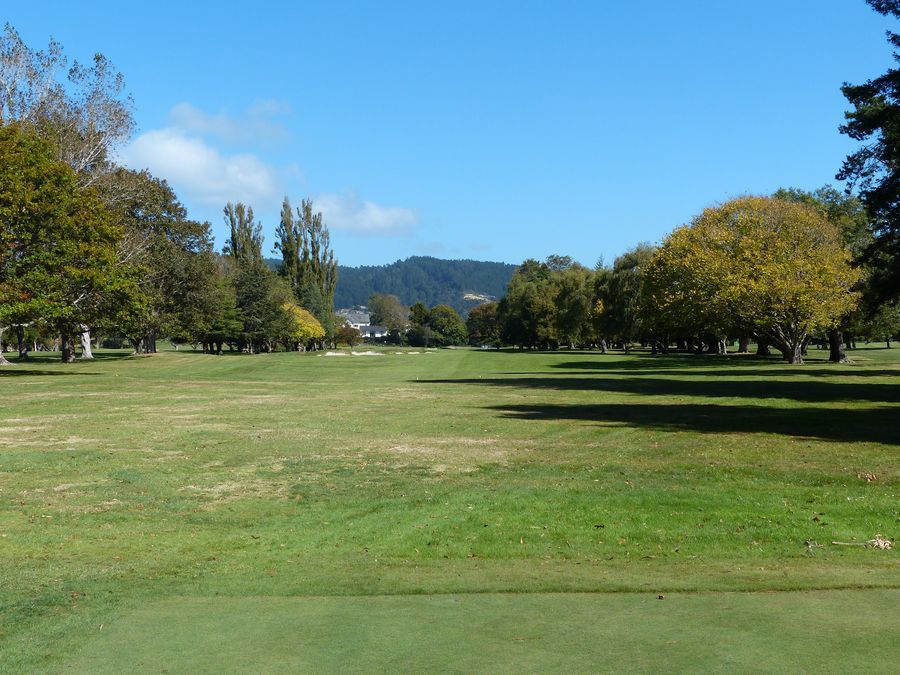 Royal Wellington GC- some of the hole shave retained a parkland feel