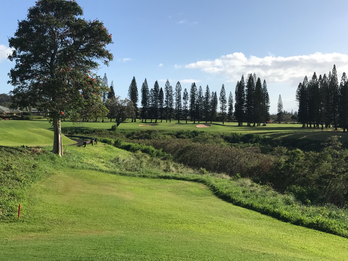 Kapalua- The Bay Course- hole 12 plays over the gorge