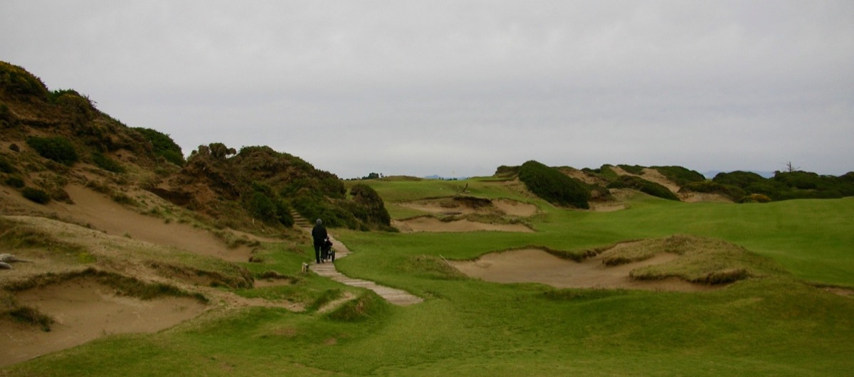 Bandon Dunes Resort- Pacific Dunes- on track to hole 14          