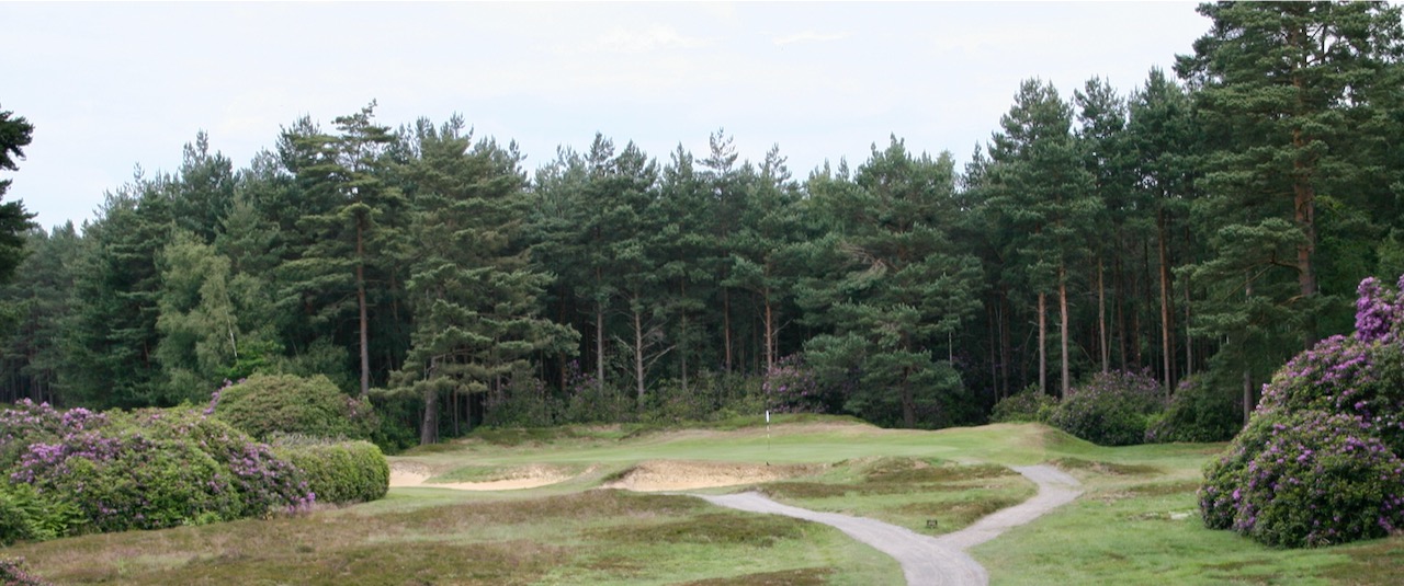 Swinley Forest GC- hole 13
