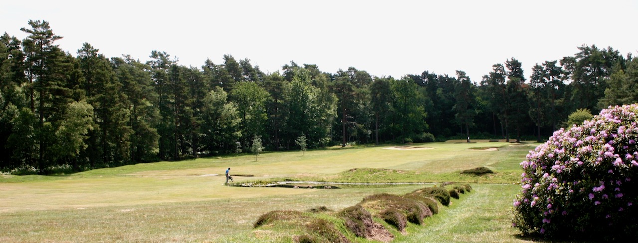 Swinley Forest GC- mounding on hole 5