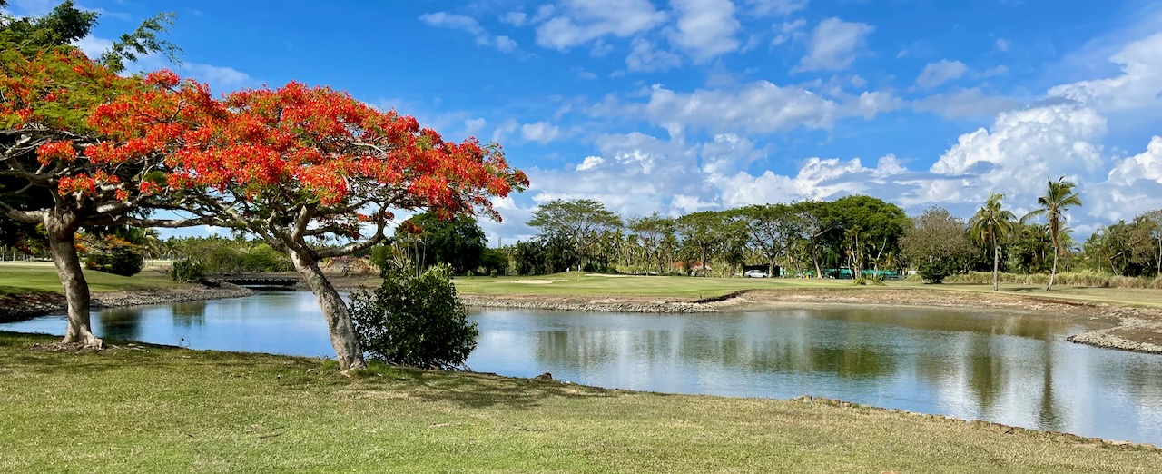 Denarau Golf & Racquet Club- Poinciana tree on hole 17