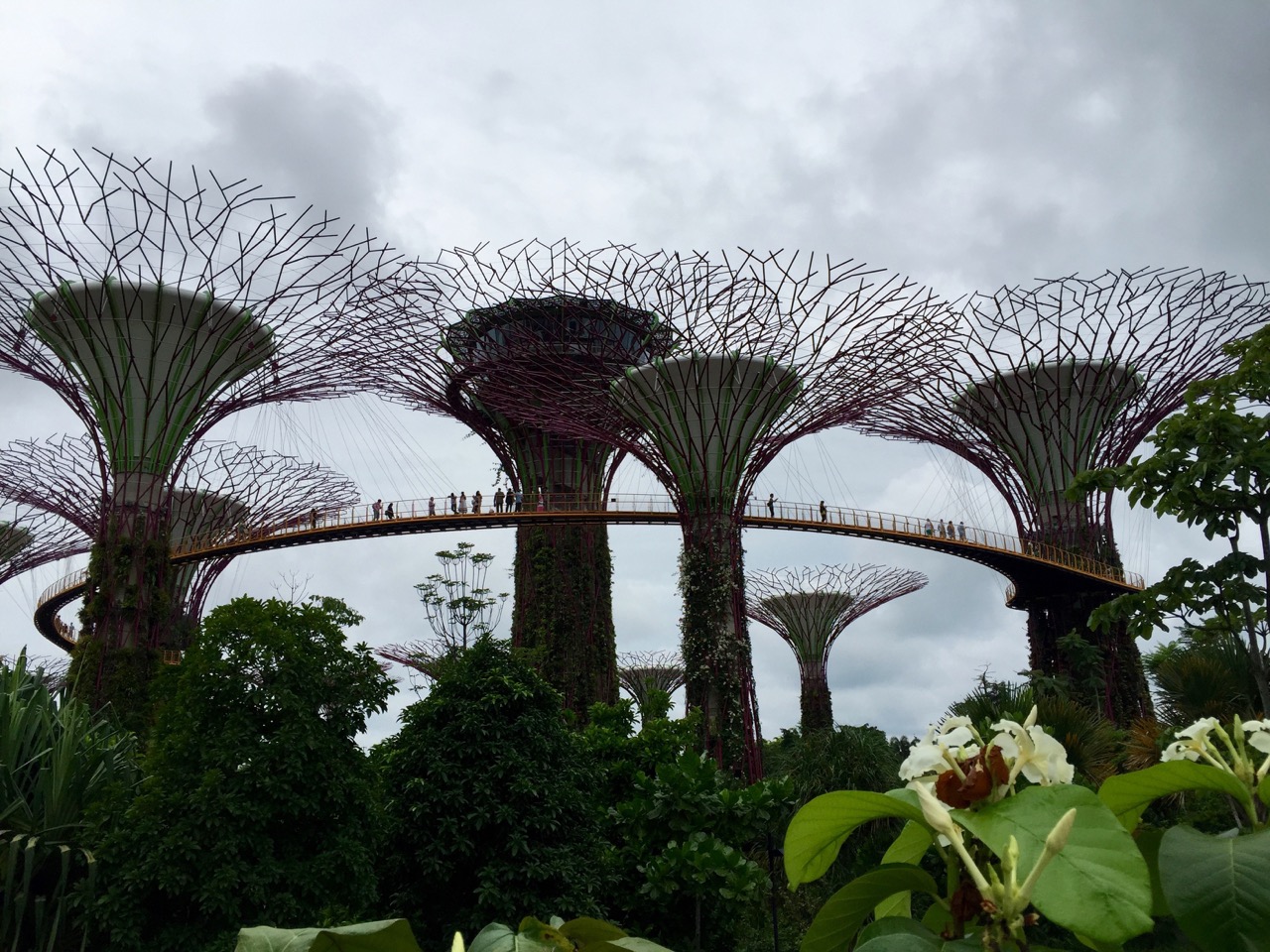 Singapore's gardens by the bay