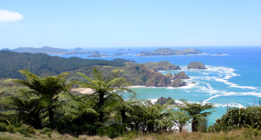 The Bay of Islands 
