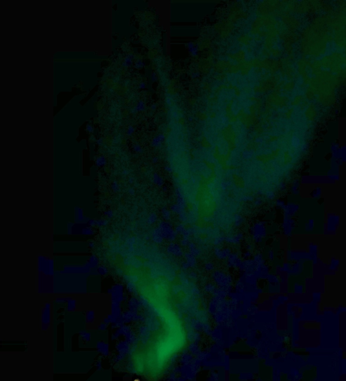 Northern Lights at Lofoten