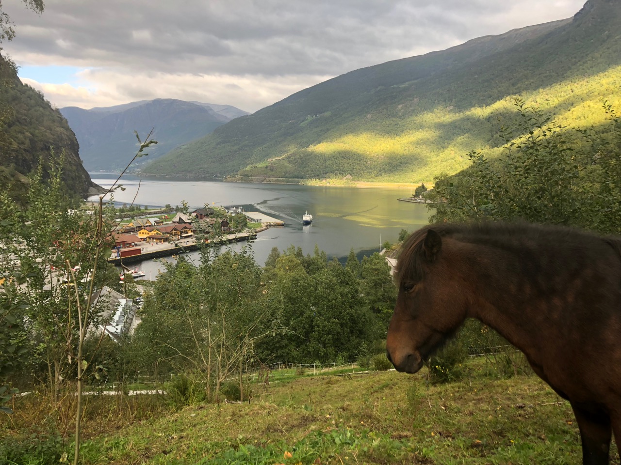 The prettiest village on the fjord? Flam by a head