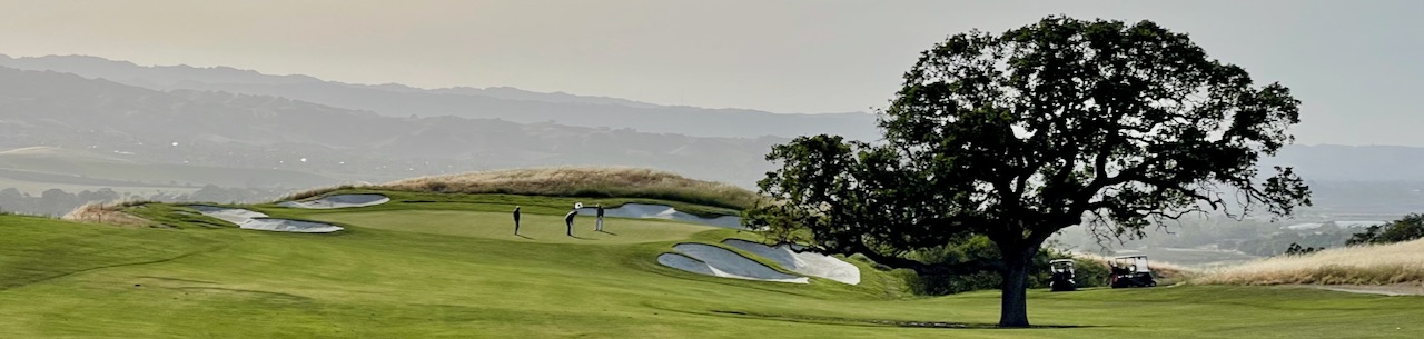 The Course at Wente Vineyards- hole 12