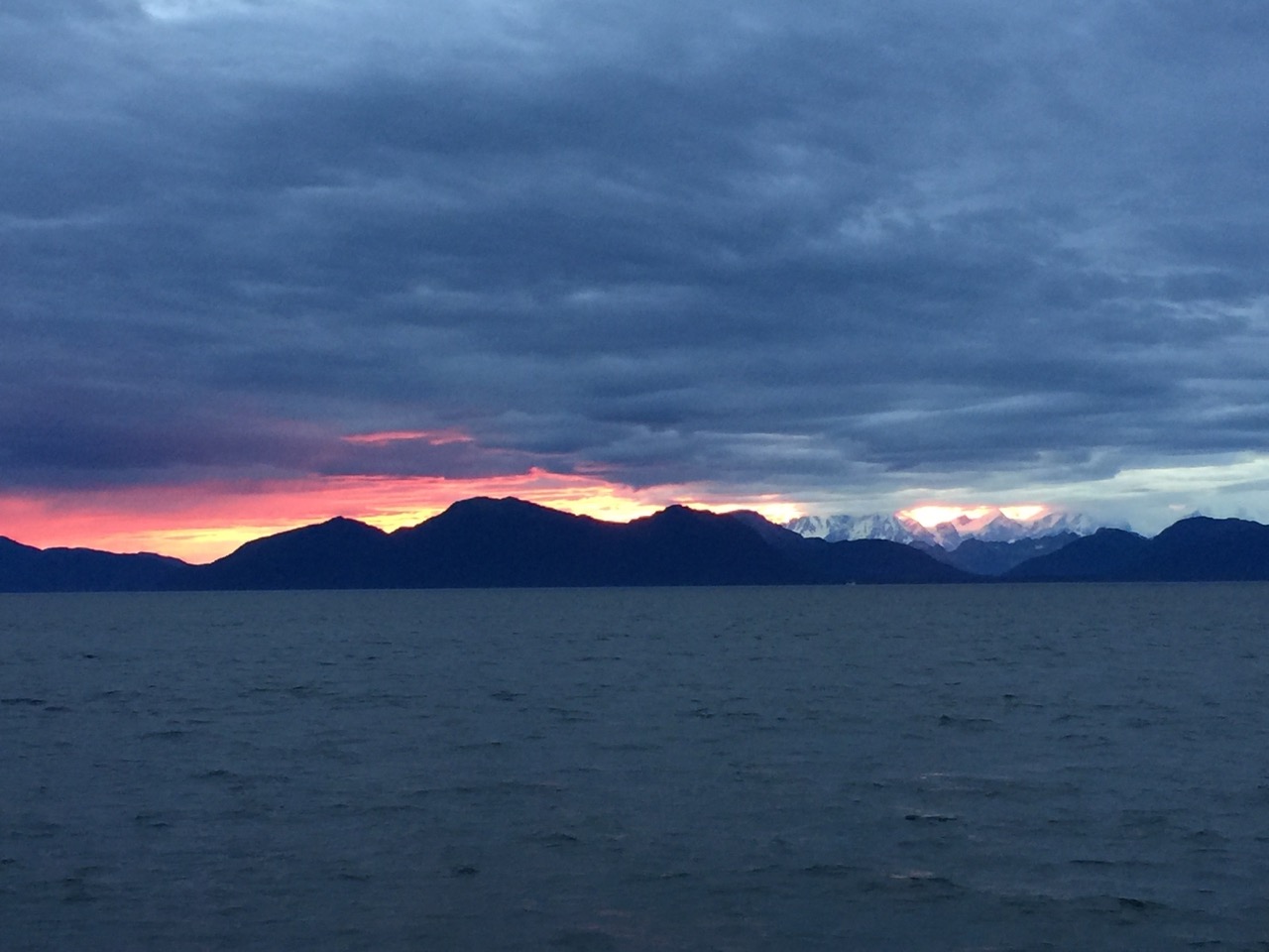Following Orca- Uncruise, Alaska