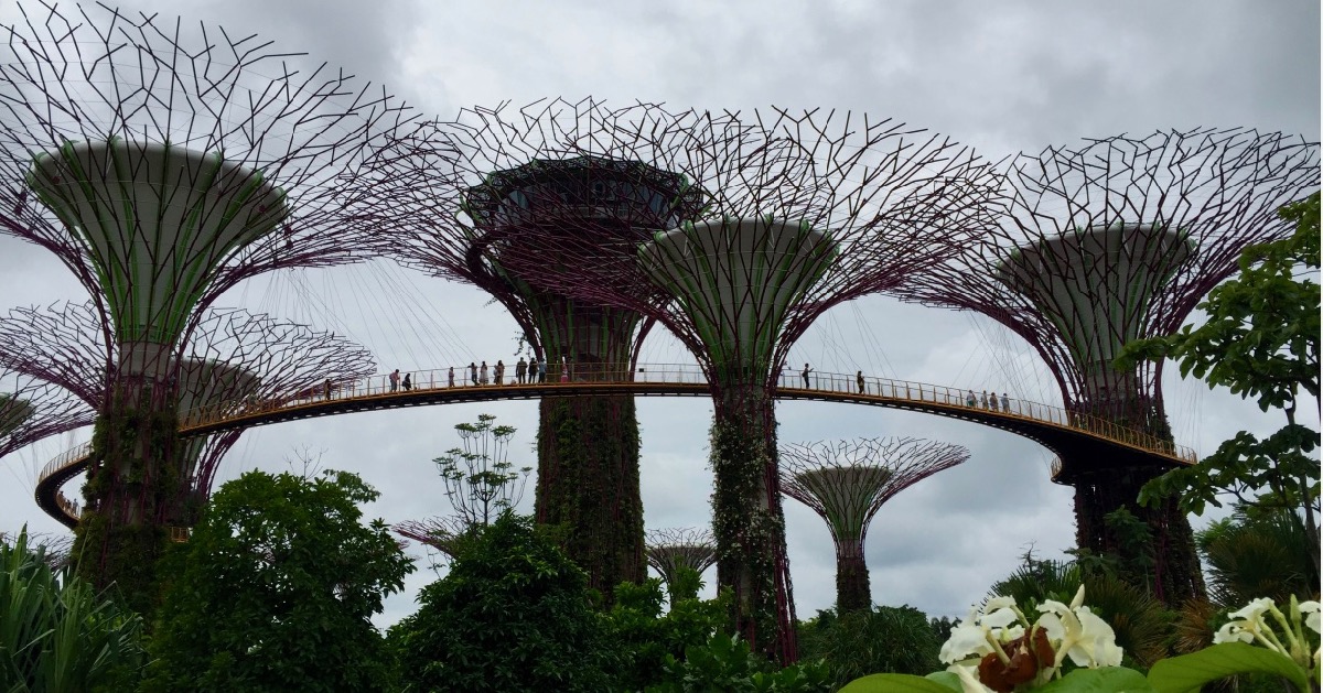 The Botanic Gardens by the sea, Singapore